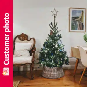 Suzie's Fraser Fir