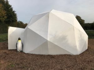 Sussex Trees igloo