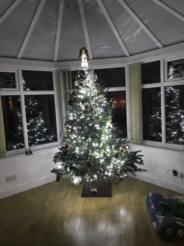 Fraser Fir Christmas Trees For Sale SendMeAChristmasTree