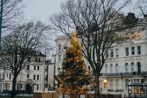 Christmas tree in Palmeira Square, Hove