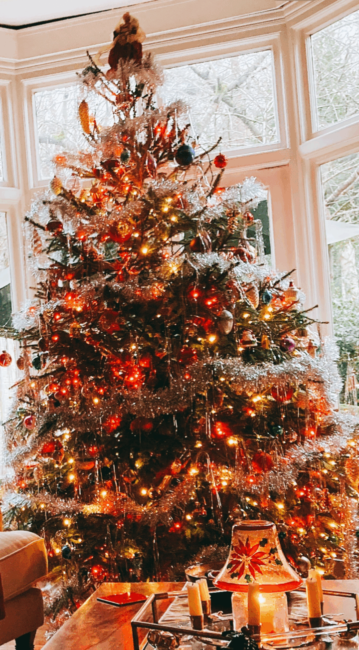 Linda's 9ft Norway Spruce